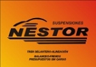 SUSPENSION NESTOR SUSPENSION NESTOR